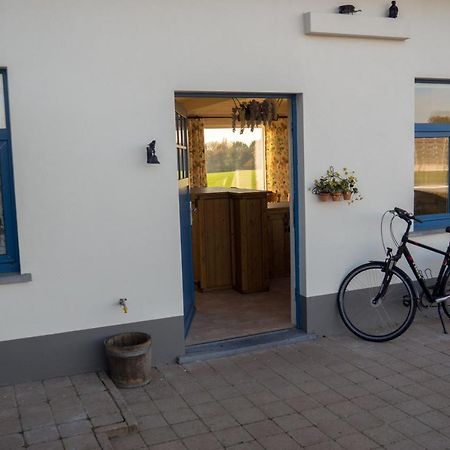 Vakantiewoning De Wilg - Rustig Gelegen Geraardsbergen Exterior foto